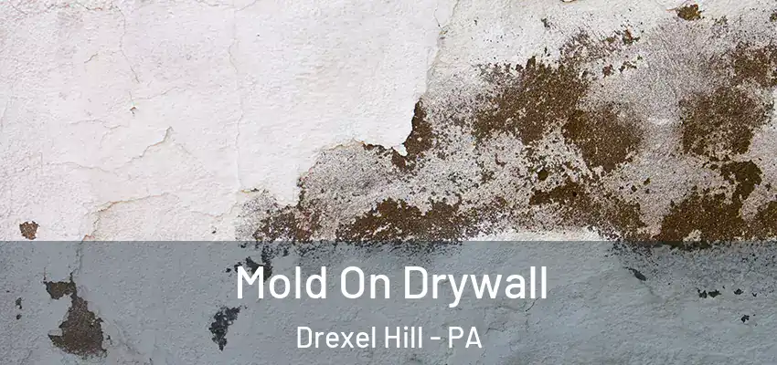  Mold On Drywall Drexel Hill - PA