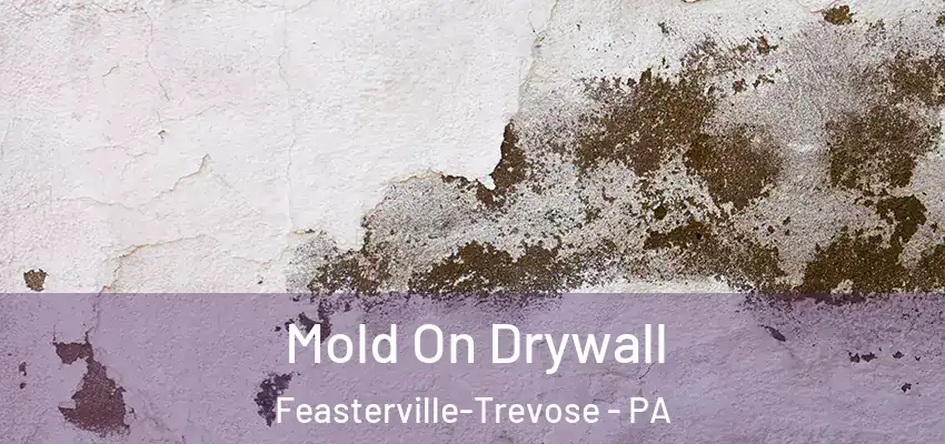  Mold On Drywall Feasterville-Trevose - PA