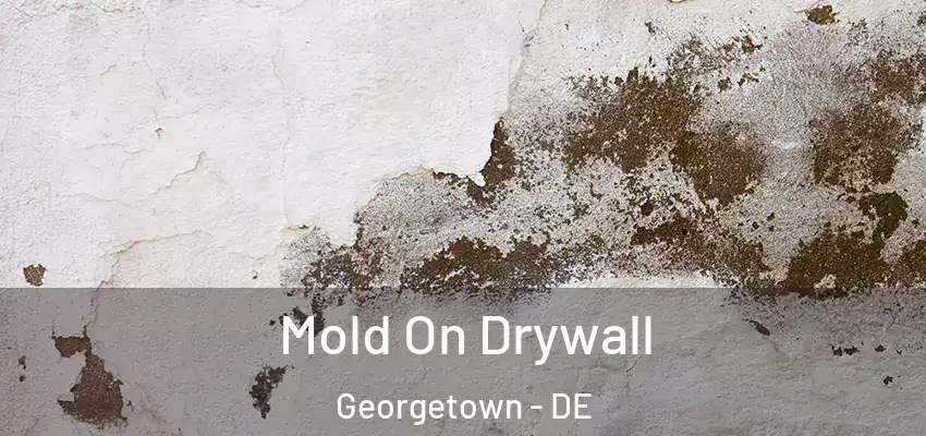  Mold On Drywall Georgetown - DE