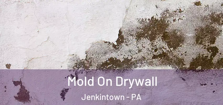 Mold On Drywall Jenkintown - PA