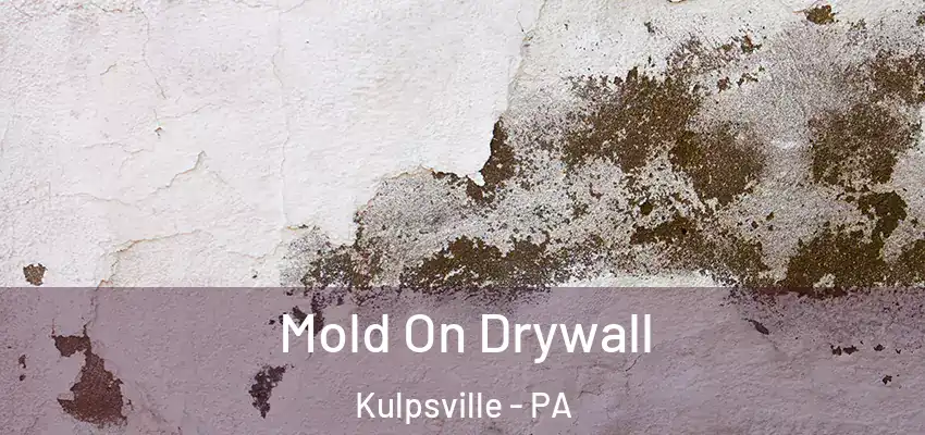  Mold On Drywall Kulpsville - PA