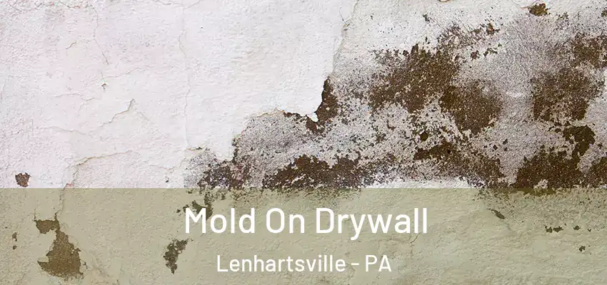  Mold On Drywall Lenhartsville - PA