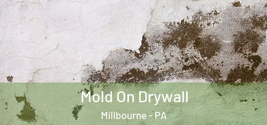  Mold On Drywall Millbourne - PA