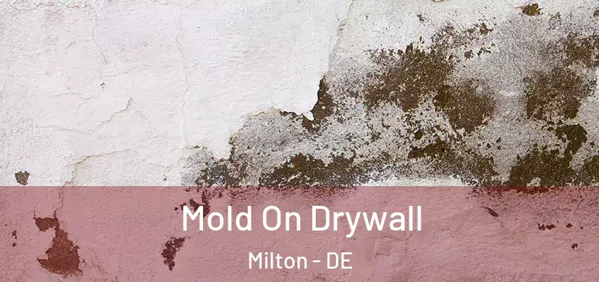  Mold On Drywall Milton - DE