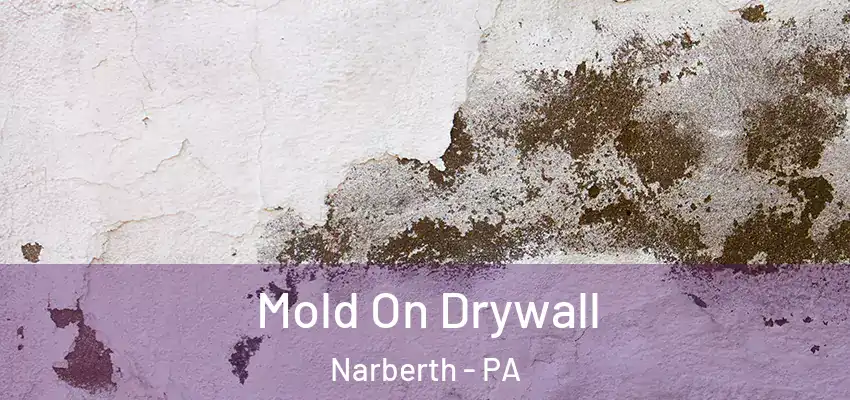  Mold On Drywall Narberth - PA