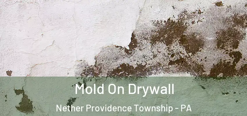 Mold On Drywall Nether Providence Township - PA