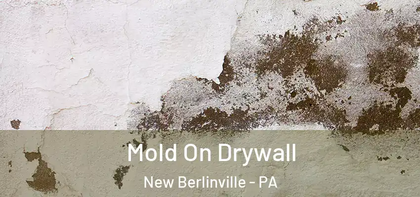 Mold On Drywall New Berlinville - PA