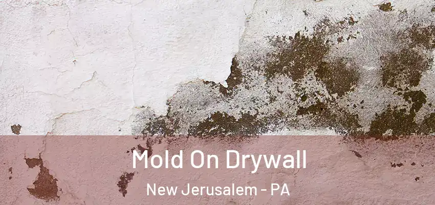 Mold On Drywall New Jerusalem - PA