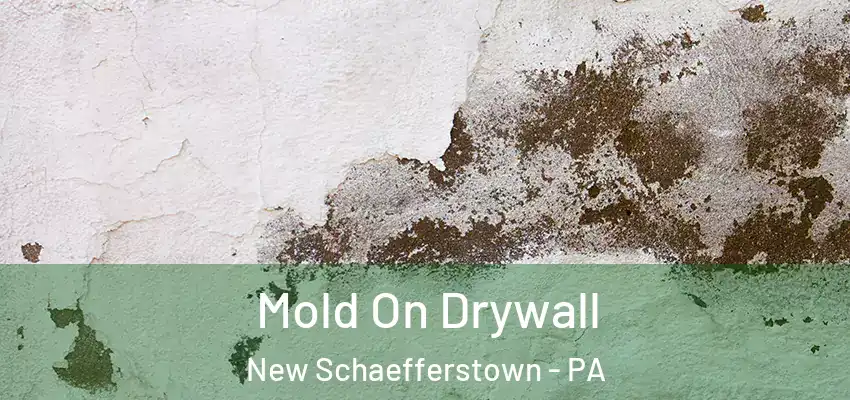  Mold On Drywall New Schaefferstown - PA