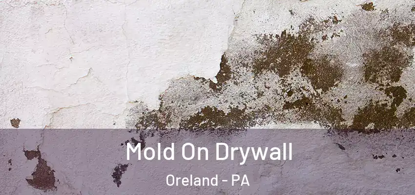 Mold On Drywall Oreland - PA