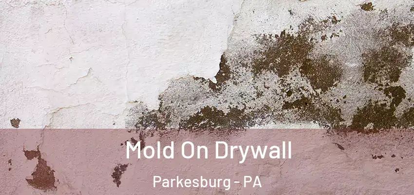  Mold On Drywall Parkesburg - PA