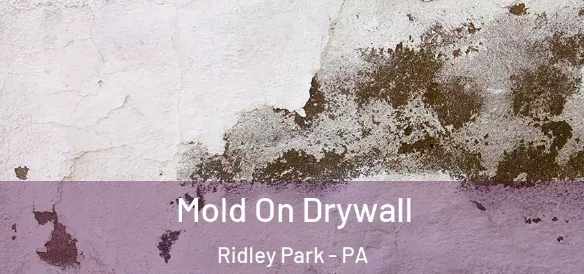  Mold On Drywall Ridley Park - PA