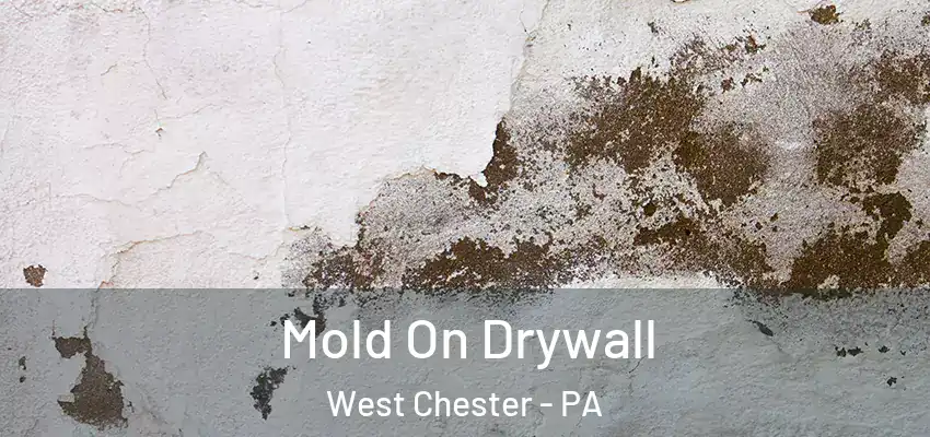  Mold On Drywall West Chester - PA