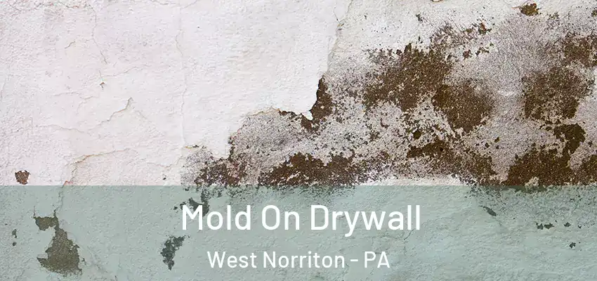Mold On Drywall West Norriton - PA