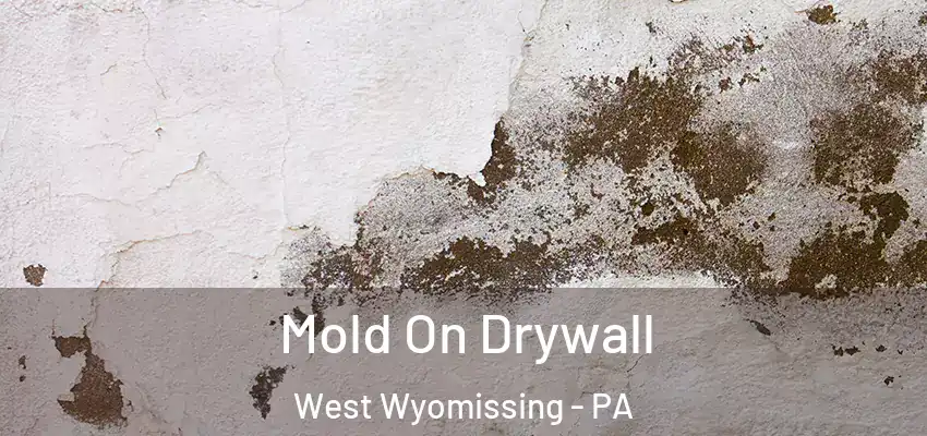 Mold On Drywall West Wyomissing - PA