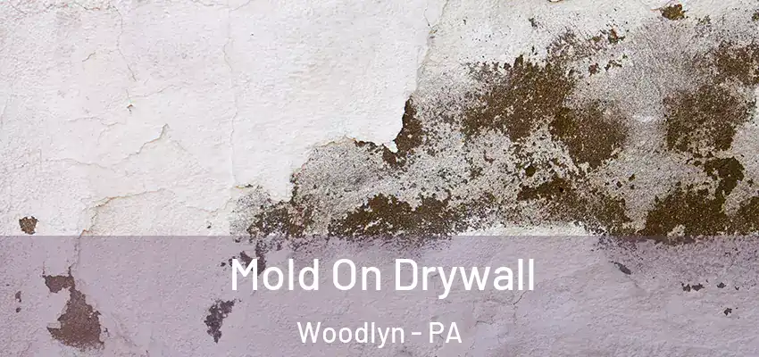Mold On Drywall Woodlyn - PA