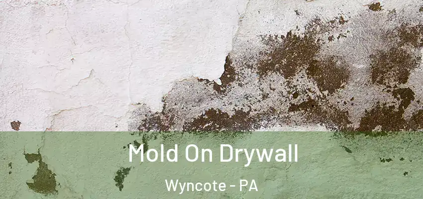  Mold On Drywall Wyncote - PA