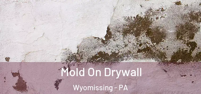  Mold On Drywall Wyomissing - PA