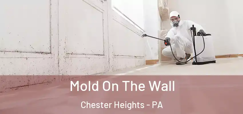 Mold On The Wall Chester Heights - PA
