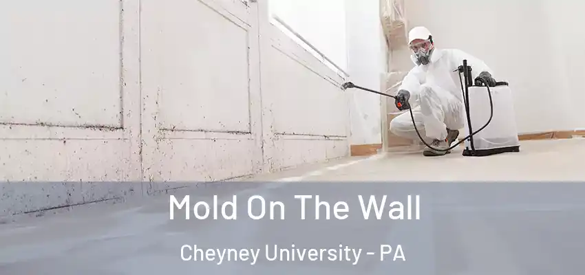 Mold On The Wall Cheyney University - PA