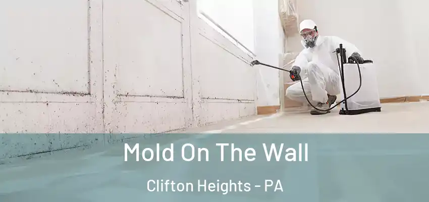 Mold On The Wall Clifton Heights - PA