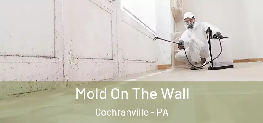  Mold On The Wall Cochranville - PA