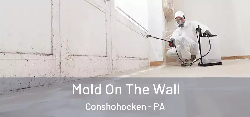 Mold On The Wall Conshohocken - PA