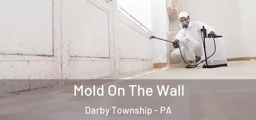 Mold On The Wall Darby Township - PA