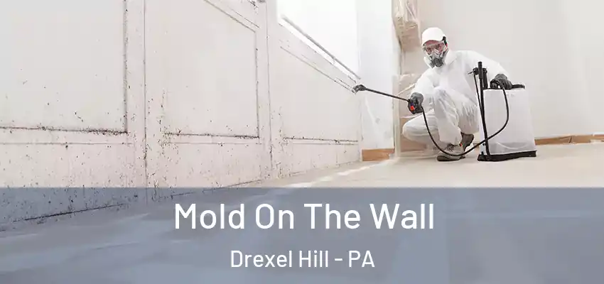 Mold On The Wall Drexel Hill - PA