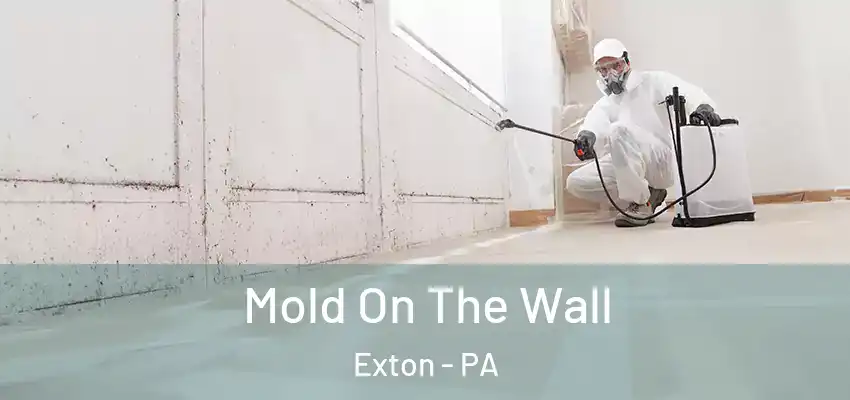 Mold On The Wall Exton - PA