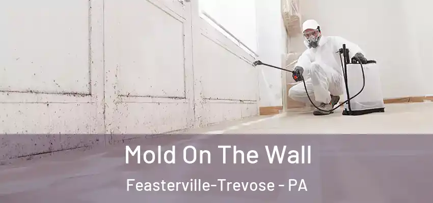 Mold On The Wall Feasterville-Trevose - PA