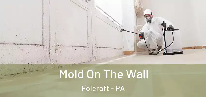  Mold On The Wall Folcroft - PA