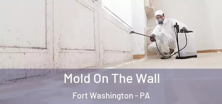 Mold On The Wall Fort Washington - PA