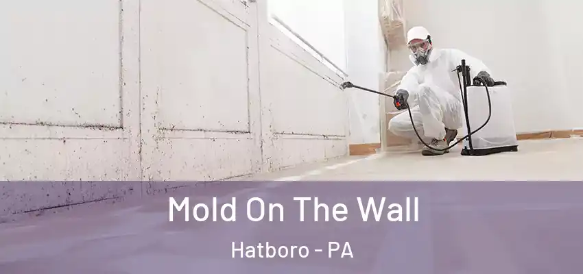 Mold On The Wall Hatboro - PA
