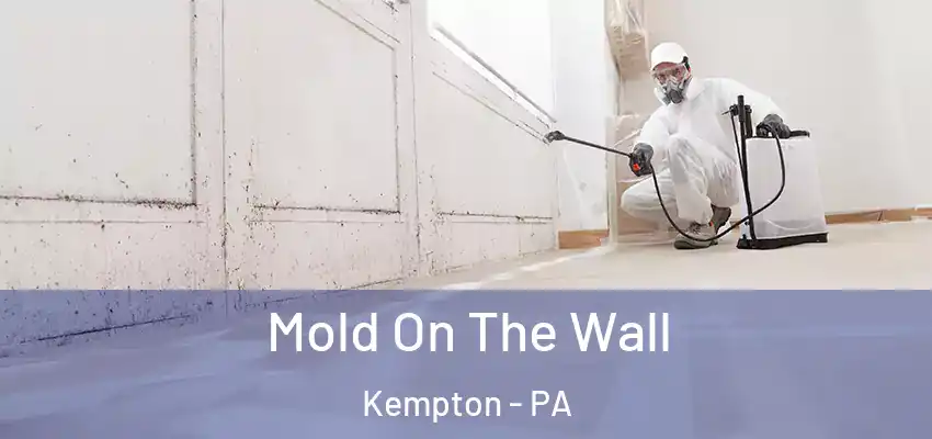 Mold On The Wall Kempton - PA