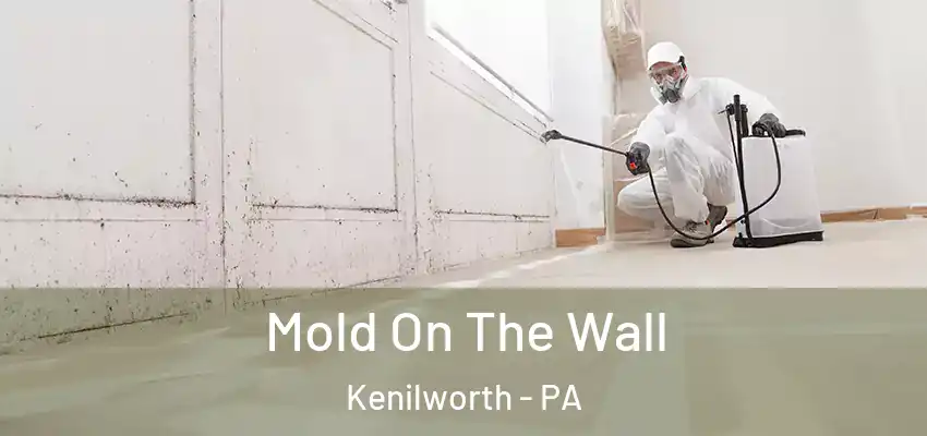 Mold On The Wall Kenilworth - PA