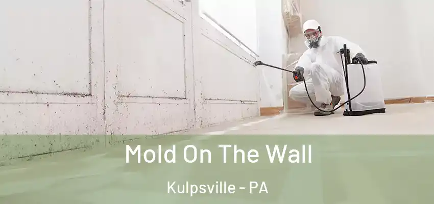  Mold On The Wall Kulpsville - PA