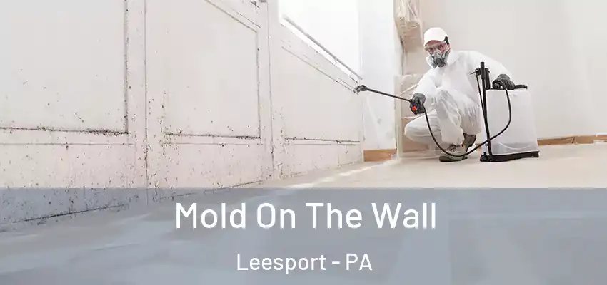  Mold On The Wall Leesport - PA