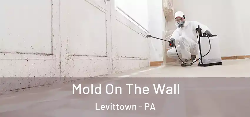 Mold On The Wall Levittown - PA