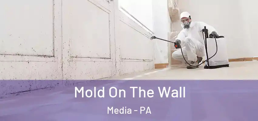 Mold On The Wall Media - PA