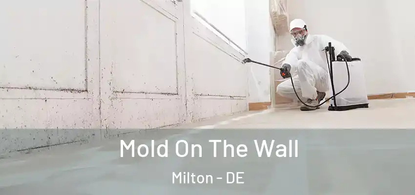 Mold On The Wall Milton - DE