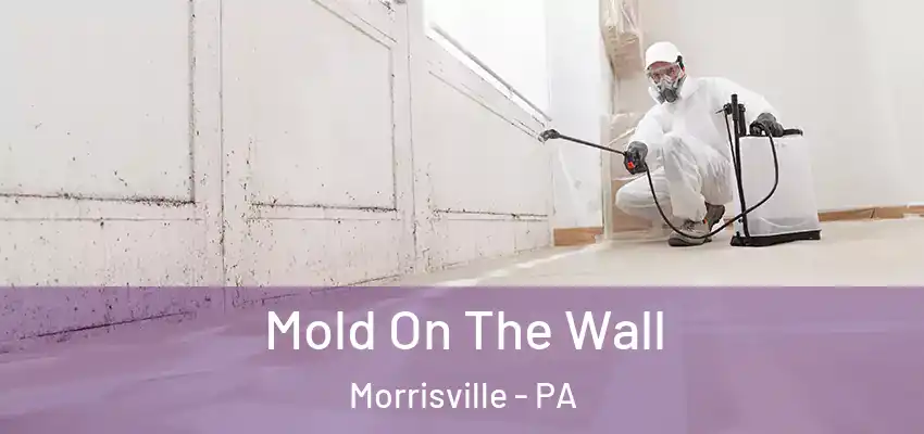  Mold On The Wall Morrisville - PA