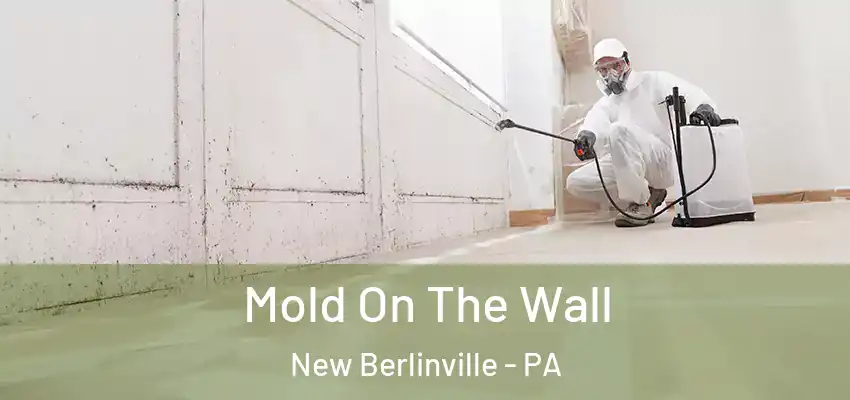 Mold On The Wall New Berlinville - PA