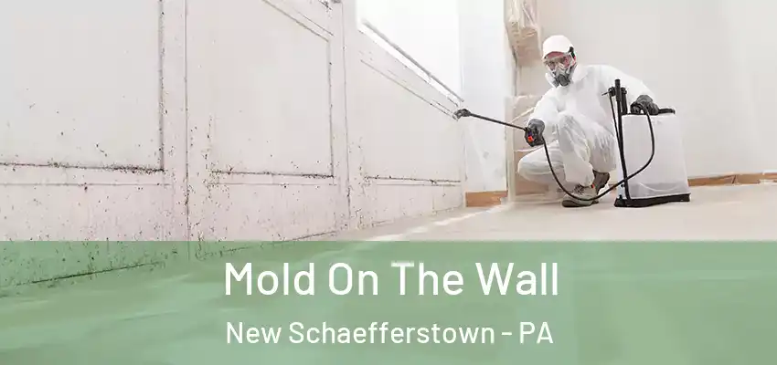  Mold On The Wall New Schaefferstown - PA