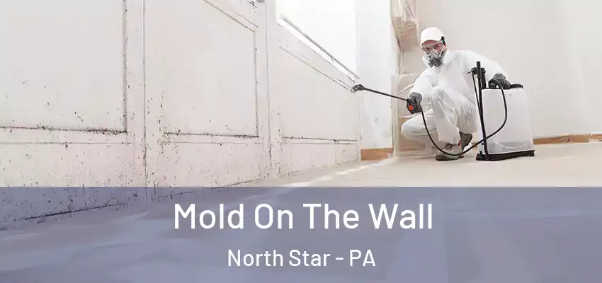  Mold On The Wall North Star - PA