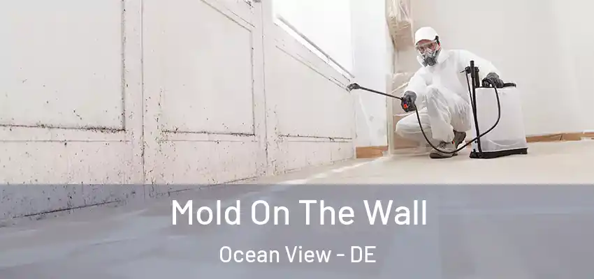  Mold On The Wall Ocean View - DE