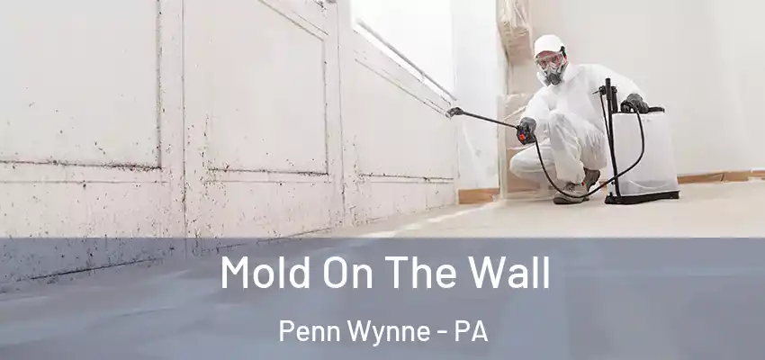  Mold On The Wall Penn Wynne - PA