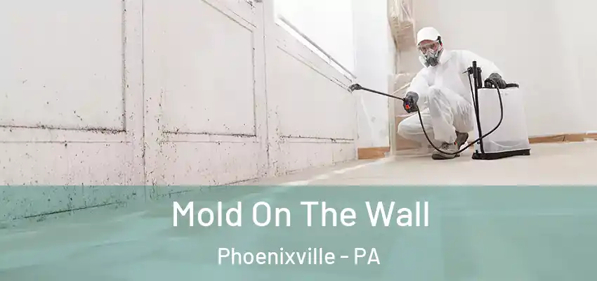  Mold On The Wall Phoenixville - PA