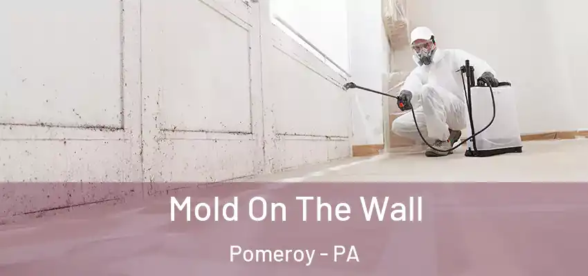Mold On The Wall Pomeroy - PA