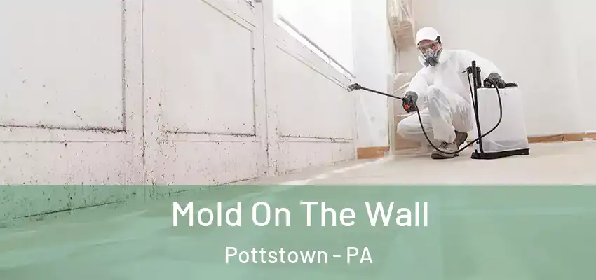  Mold On The Wall Pottstown - PA